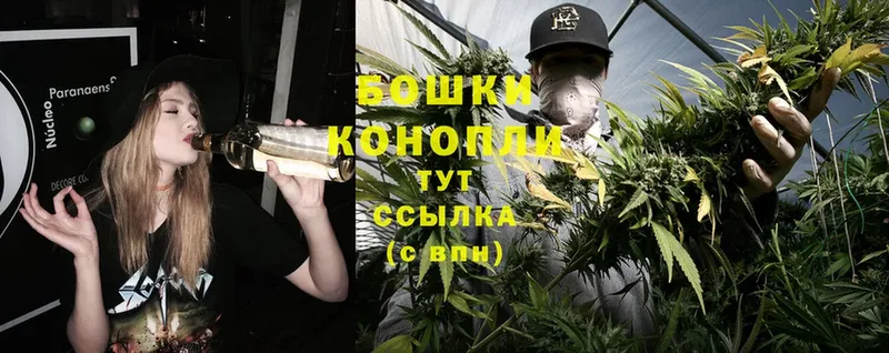 где продают   Городец  Канабис White Widow 